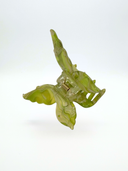 Haarklammer Butterfly | pistachio